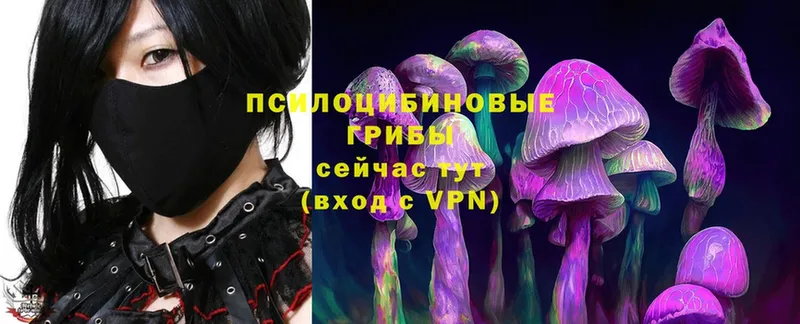 Псилоцибиновые грибы Magic Shrooms  как найти закладки  Лебедянь 